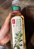 农夫山泉东方树叶菊花普洱500ml*15瓶无糖茶饮料0糖0脂0卡饮品整箱装 实拍图