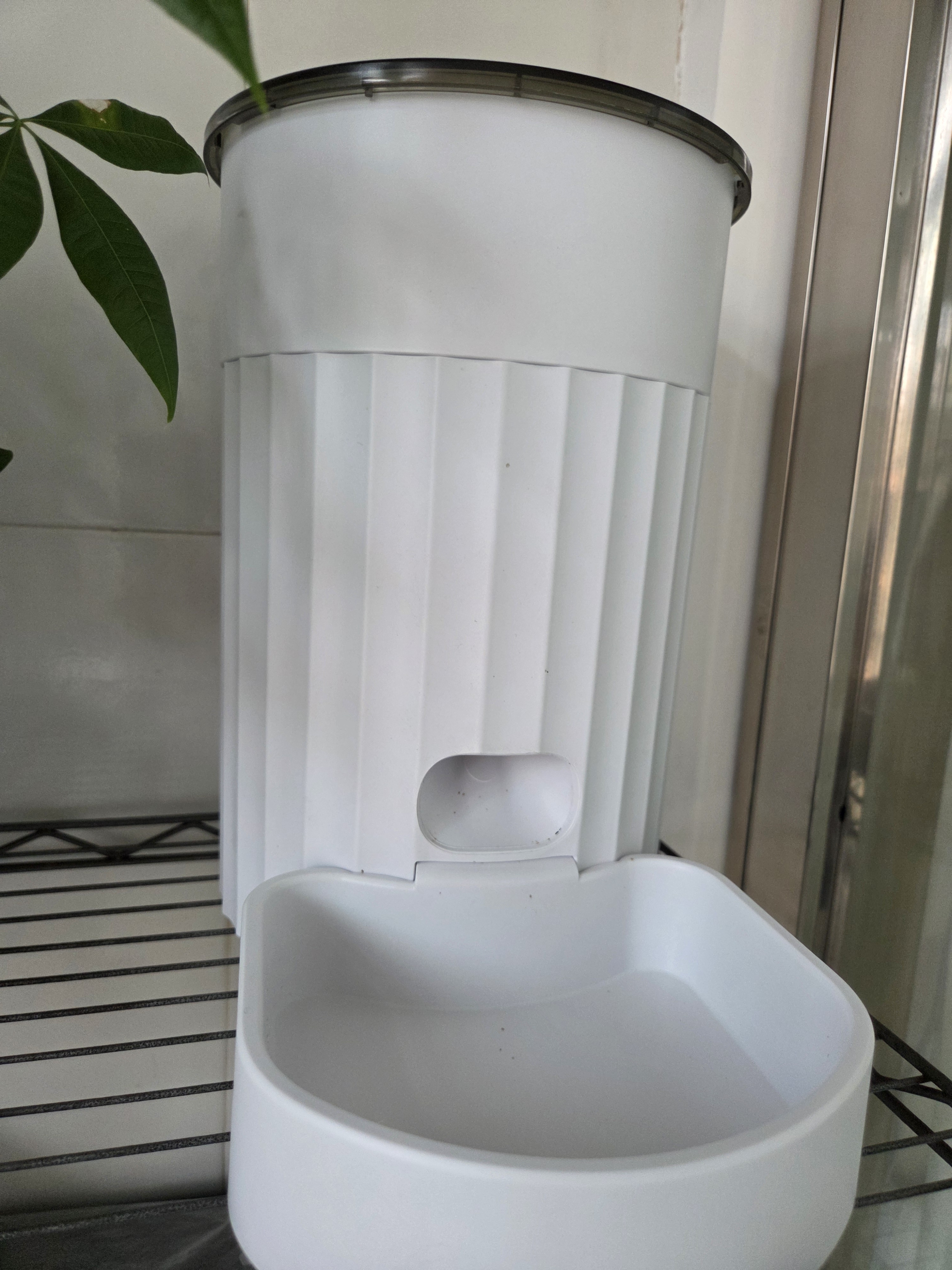 PAPIFEED自动喂食器猫咪小型智能投喂器定时定量喂猫器猫粮狗粮远程喂食机 实拍图
