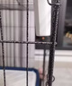 腆宠狗笼狗窝猫笼狗笼子中小型犬带厕所猫笼子大号家用室内狗围栏兔笼 实拍图