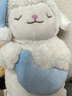 名创优品（MINISO）羊咩咩系列甜睡小羊公仔毛绒玩具玩偶公仔娃娃生日礼物女 月亮款 实拍图