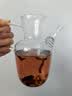 teastone水经注玻璃茶壶高硼硅玻璃杯公道杯绿茶壶玻璃泡茶壶茶具500ml 实拍图
