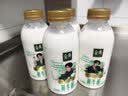 伊利【张凌赫同款】金典有机鲜牛奶260ml*6+金典208ml*6源头直发包邮 实拍图