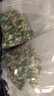 巨奇（JUQI）栀子花香樟脑丸衣柜衣物防虫驱虫防霉防潮除湿除臭香薰包60袋/盒 实拍图