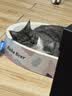 奥丁（ODIN）猫粮 1-12月龄幼猫奶糕专用 美短英短蓝猫 鱼肉味离乳期猫粮2kg 实拍图