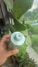 丁家宜（TJOY）舒缓润泽爽肤水200ml清透保湿补水湿敷水化妆水护肤品敏感肌可用 实拍图