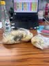 龙和宽龙门米醋3.55度 1L 酿造食醋 凉拌炒菜饺子点蘸 实拍图