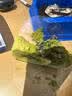 奥利奥（Oreo）瑞士卷抹茶味1盒小蛋糕 早餐糕点 下午茶零食 实拍图