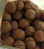 三只松鼠京觅联名夏威夷果1000g24-26mm儿童每日坚果炒货休闲零食团购送礼 实拍图