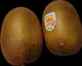 佳沛（zespri）新西兰金奇异果12粒特大果124-146g猕猴桃中秋节礼品送水果礼盒 实拍图
