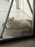 疯狂的主人猫抓板窝特大号猫玩具猫爪板猫抓盆不掉屑猫窝椭圆形瓦楞纸 实拍图