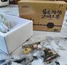 古茶养仁菊花特级护肝去火黄菊花枸杞决明子茶养肝护肝清肝明目养生茶200g 【肝火重喝】菊花枸杞决明子茶 实拍图