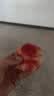 半亩花田【旅行套】控油祛痘洁面乳金盏花水乳旅行装卸妆膏小样 实拍图