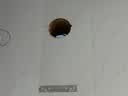 创维（Skyworth）抽吸排油烟机家用欧式顶吸T型 23m³大吸力 上门安装以旧换新 免拆洗挥手智控 一级能效自清洗Y1H 实拍图