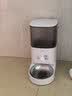 霍曼（Homerun）Real智能自动喂食器猫粮定时猫猫咪自动投食机PF20（不锈钢碗） 实拍图
