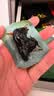 京东京造九制黄精500g 即食九蒸九制茶中药材滋补养生男女肾茶饮小袋 实拍图