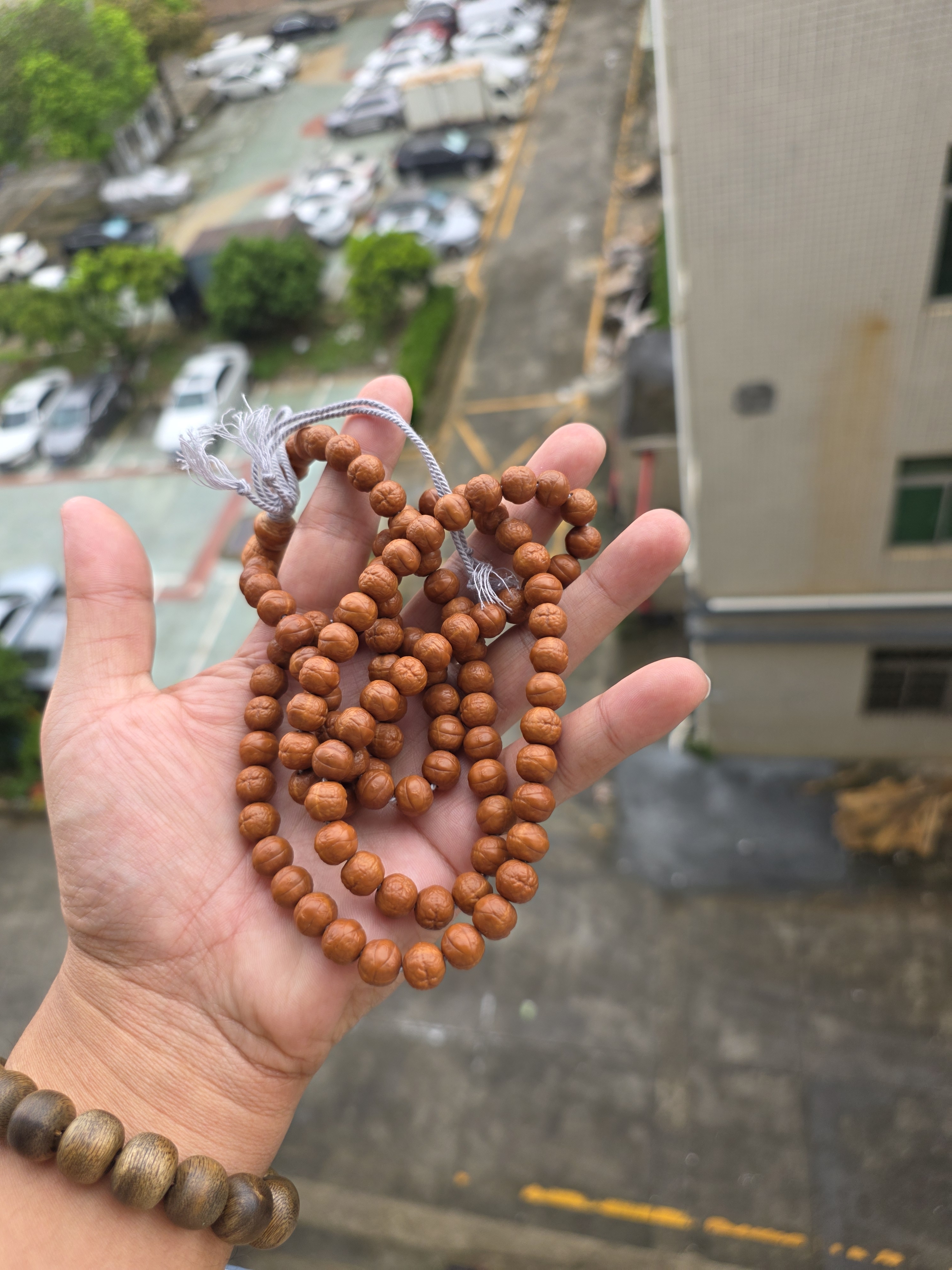 迎胤国凤眼菩提猴头手串男士盘玩真品108颗高端天然文玩佛珠手持9mm+ 实拍图