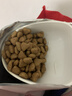 皇家猫粮 室内成猫粮 I27 通用粮 12月以上 2KG 实拍图