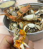 【活蟹】网兜蟹辽宁盘锦河蟹稻田河蟹礼盒螃蟹鲜活大闸蟹无绳净重 全母蟹丨1.0-1.3两【5斤】40-50只 实拍图