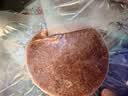 小牛凯西菲力西冷原肉整切调理牛排含酱包600g(5片)盒装儿童牛扒烧烤牛肉 实拍图
