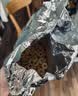 雀巢（Nestle）进口脆谷乐儿童300g谷物脆儿童麦片早餐即食非油炸全谷物学生开学 实拍图