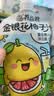 养益君金银花柚子汁儿童宝宝果汁饮料清润饮品无添加色素100ml*6袋 实拍图