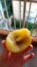 佳沛（zespri）新西兰阳光金奇异果6粒装88-103g猕猴桃水果中秋节礼品送水果礼盒 实拍图