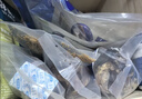 蒙贝 香酥牛棒骨  狗狗零食 中型犬磨牙棒 洁齿骨耐咬除垢 100g*5支 实拍图