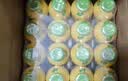 金豆芽儿童金银花柚子汁155ml*16瓶夏天孩子饮料宝宝果汁西柚汁 实拍图
