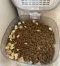 LEGENDSANDY蓝氏全价猫粮生骨肉冻干成猫幼猫猎鸟乳鸽9kg(1.5kg*6)【囤货装】 实拍图