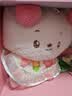 名创优品（MINISO）吉福特熊苹安柿福小熊玩偶公仔毛绒抱枕儿童玩具娃娃礼物送女生 实拍图