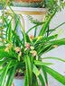 盐铁论（全注全译足本 文白对照） 中国古代经济学奇书 实拍图