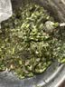 绿食者 新鲜茴香叶500g 茴香苗 饺子馅料茴香菜西餐香料蔬菜 实拍图