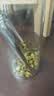 福东海特优级胎菊138克【当季新采特优】夏季高温团购家庭装分量足桐乡 实拍图