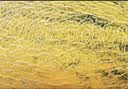 京鲜生 新疆86王八六王哈密瓜 净重4-5斤1粒装 源头直采包邮 实拍图
