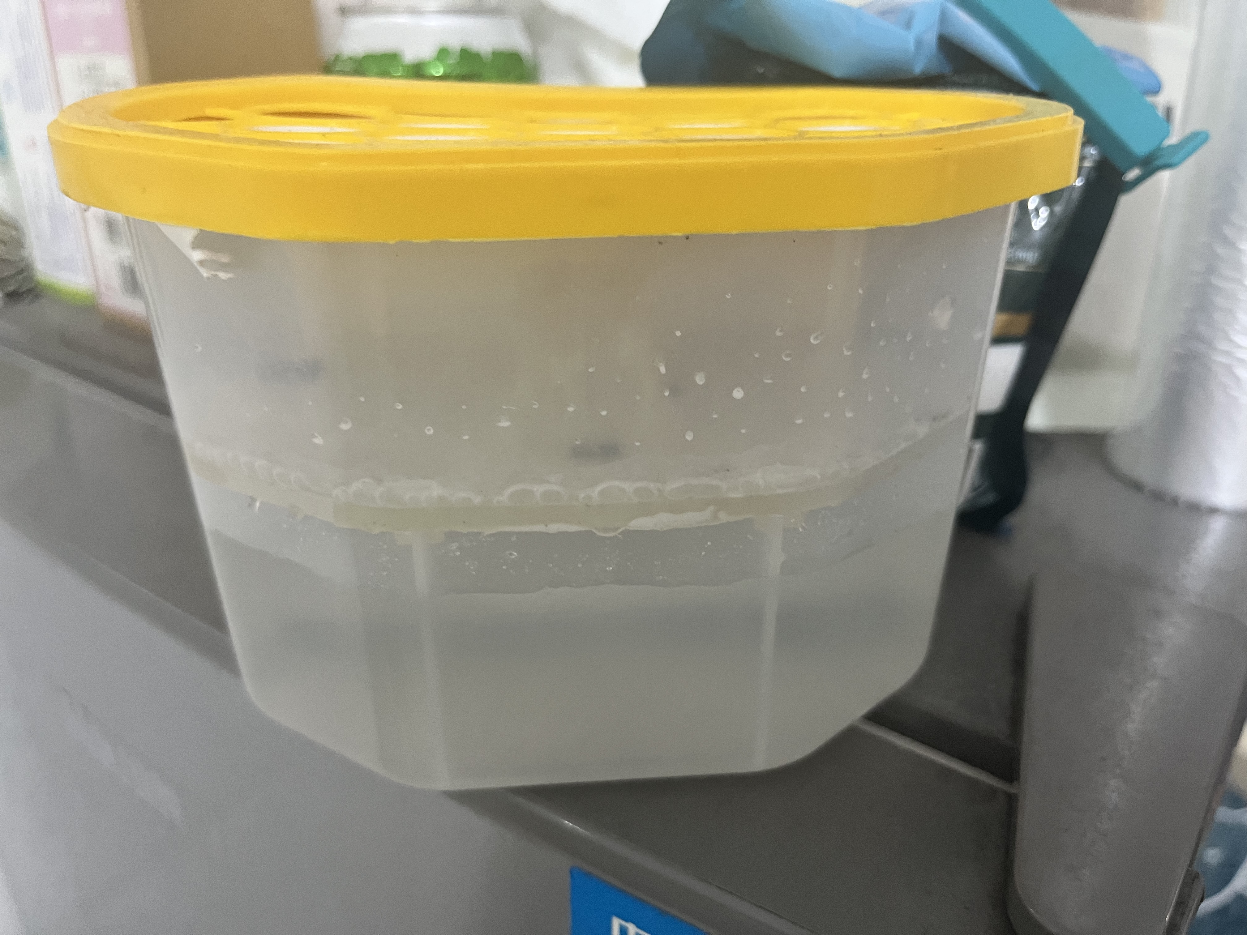 山山活性炭除湿盒500ml*16衣柜除湿防潮除虫干燥剂防潮吸湿除湿袋 实拍图