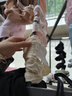 京东京造【独立包装】女士内裤女纯棉山茶花10A抗菌蚕丝养肤裆超薄夏季L 实拍图
