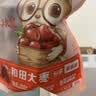 三只松鼠和田大枣一级骏枣500g 红枣新疆特产免洗蜜饯果干煲汤煮粥零食 实拍图