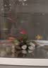 阔庭（KUOTING）鱼缸水族箱客厅桌面生态透明造景家用带灯懒人制氧过滤金鱼缸黑色 实拍图