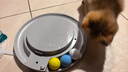 霍尼韦尔（Honeywell）宠物空气净化器吸猫毛除过敏源猫猫搭子 猫毛净化器杀菌消毒除异味KJ360F-C22W 实拍图