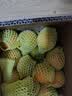 京鲜生【夏季限定】云南青皮蜜桔酸桔子净重4.5斤单果60mm+源头直发包邮 实拍图