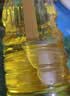 道道全菜籽油 食用油 压榨菜籽油 物理压榨非转基因 1.8L*1桶 实拍图
