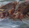 大希地原切牛排眼肉熟成整条厚切牛肉速冻1.7kg（净重3.4斤）【真原切】 实拍图
