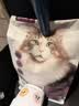 网易严选全价冻干双拼猫粮3.0 猫干粮成猫幼猫通用高鲜肉粮 自营金选1.8kg 实拍图