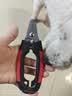 HELLOJOY宠物猫狗指甲剪狗指甲钳猫咪用指甲剪新手专用指甲刀钳磨甲器 实拍图