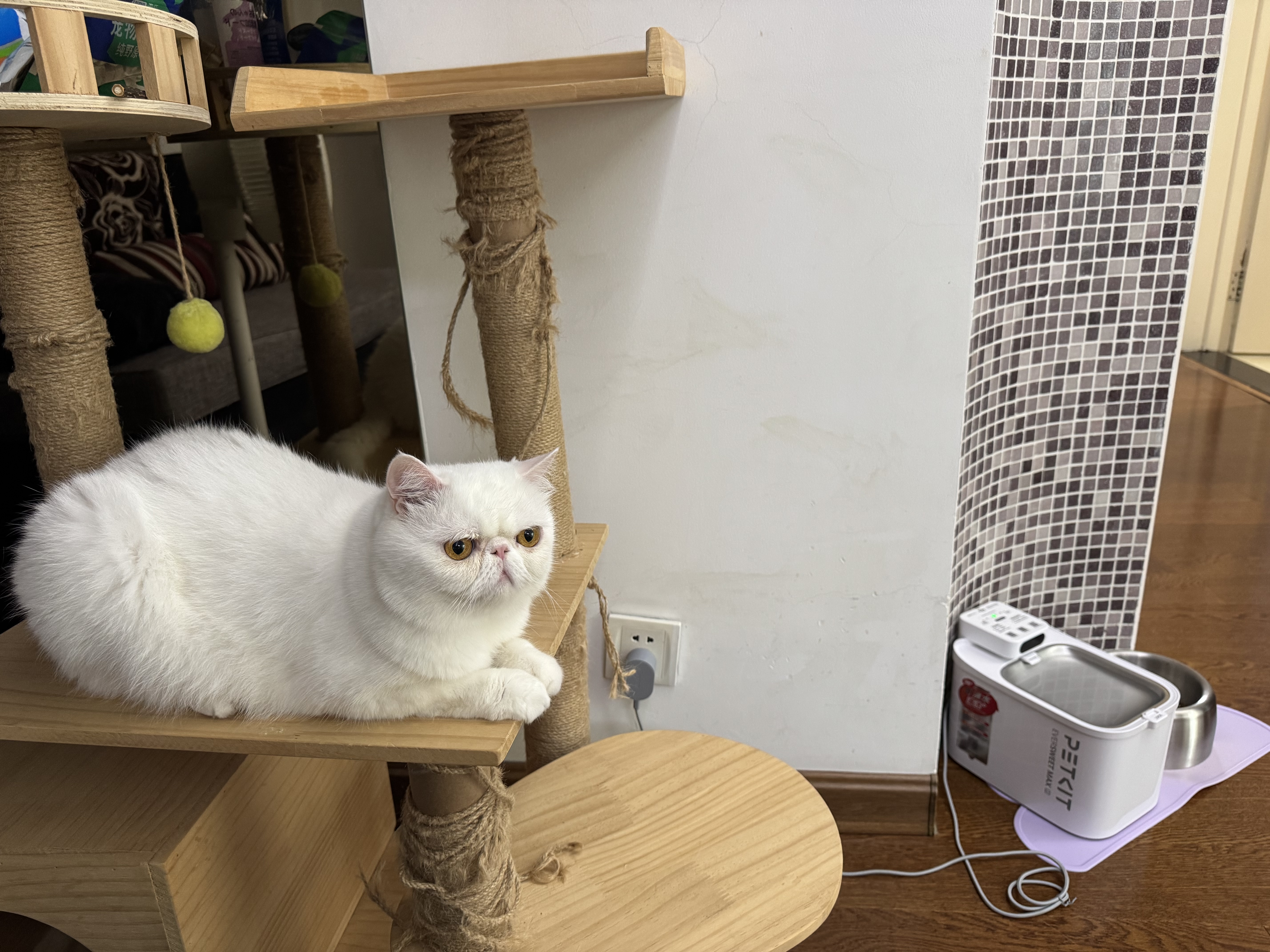 猫宅一生 猫冻干猫零食 猫咪冻干零食 原切冻干鸡肉粒鸭肉粒鹌鹑蛋黄 高蛋 冻干鸭胸肉 实拍图