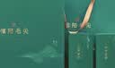 绿木中秋礼品2026新茶信阳毛尖茶叶礼盒500g绿茶河南特产教师节礼物 【2026新茶】信阳毛尖礼盒装500g 实拍图