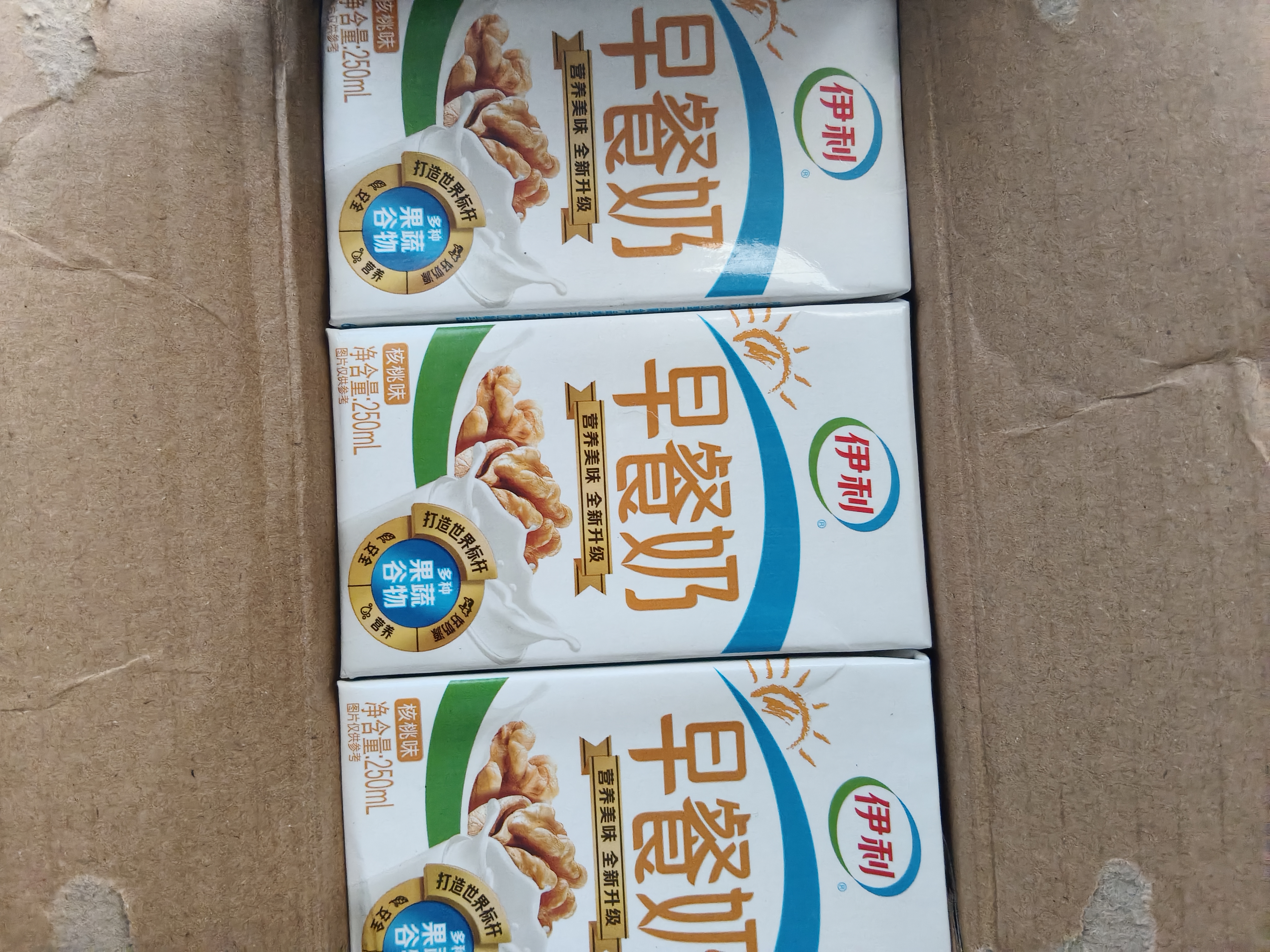 伊利早餐奶核桃味 250ml*24盒 优选核桃早餐伴侣 礼盒装 6月产 实拍图