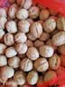 当季新疆 薄皮核桃 阿克苏特产手剥生核桃原味 源头直采 每日坚果 新疆185手剥核桃 （送核桃夹）5斤装 实拍图