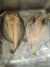 三都港 醇香黄鱼鲞120g/1条装 烧烤食材 生鲜 鱼类 深海鱼 中秋海鲜 实拍图