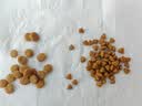皇家猫粮 成猫猫粮 户外成猫 O30 通用粮 12月以上 4KG 实拍图